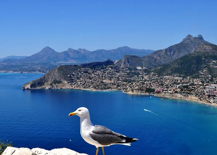 Вилла Maryvilla 0220