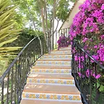 Maryvilla 0220 * Calpe